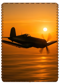 COLLECTION SUNSET GLOW - #1203