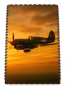 Plaque Aviation Vintage #1205 — recto sur fond blanc